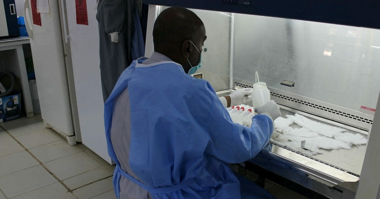 "الصحة العالمية" تحذّر من "خطر بيولوجي هائل" في السودان watanserb.com