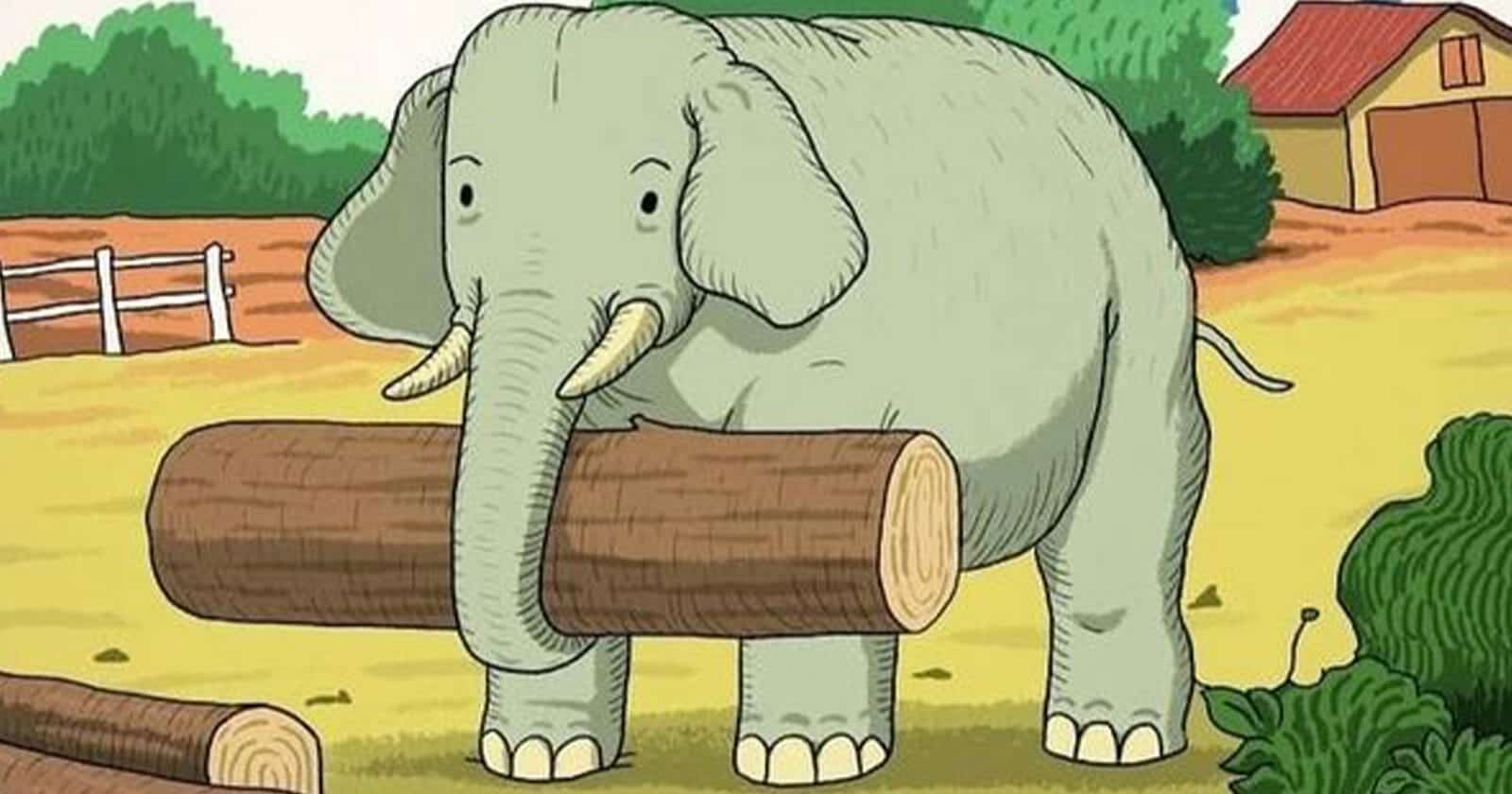 لذوي الذكاء الخارق فقط.. اكتشف الحصان خلال 7 ثوانٍ في هذا الوهم البصري watanserb.com