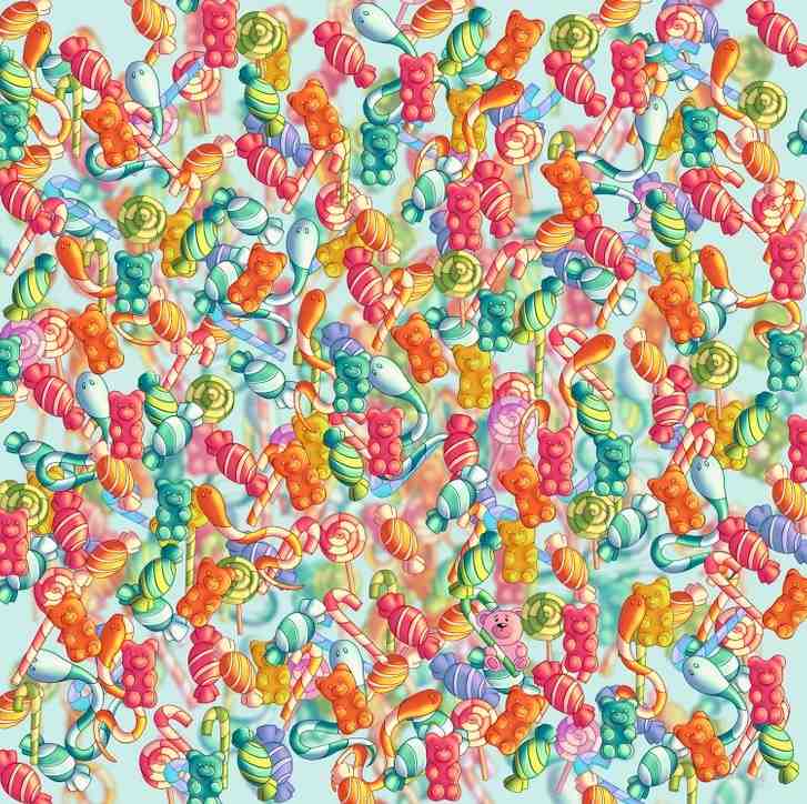 اكتشاف الدبّ المختبئ بين قطع الحلوى