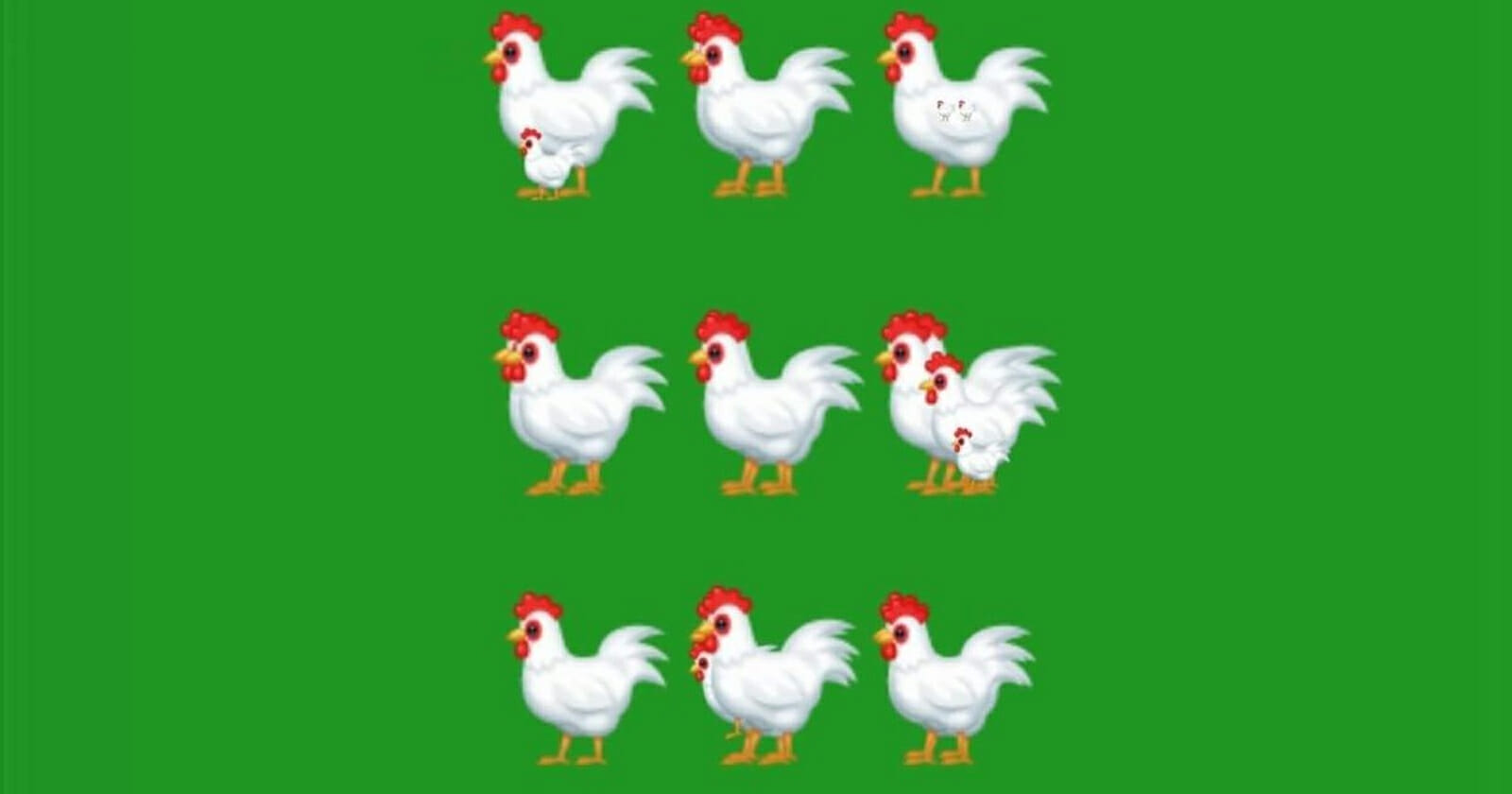 اكتشف عدد الدجاجات watanserb.com