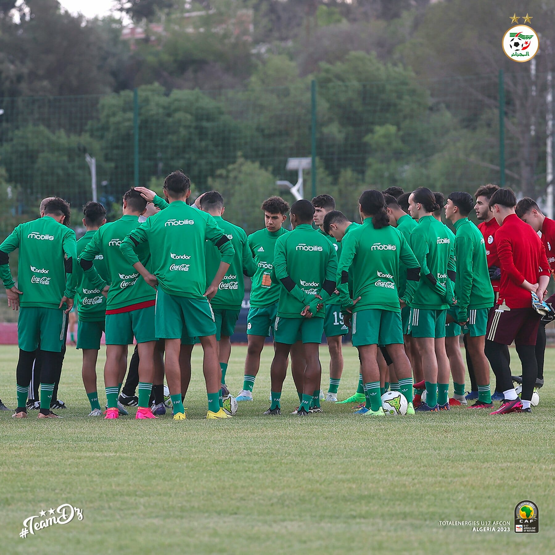 تدريبات منتخب الجزائر
