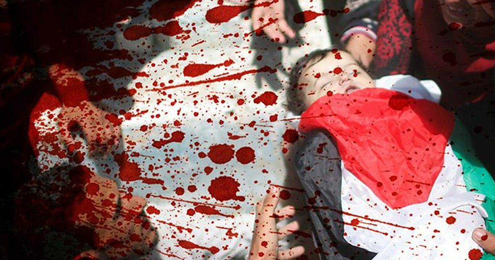 دماء فلسطين في عنق الشعوب العربية watanserb.com