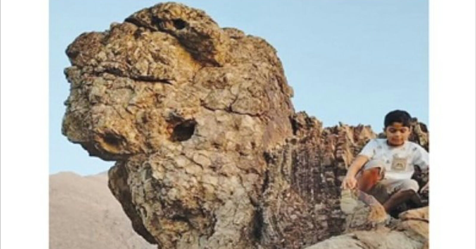 صخرة على شكل وجه إنسان في سلطنة عمان watanserb.com