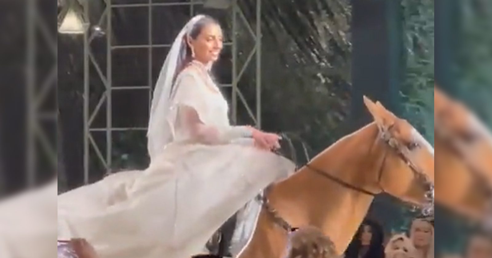 عروس تدخل قاعة الزفاف على ظهر حصان watanserb.com