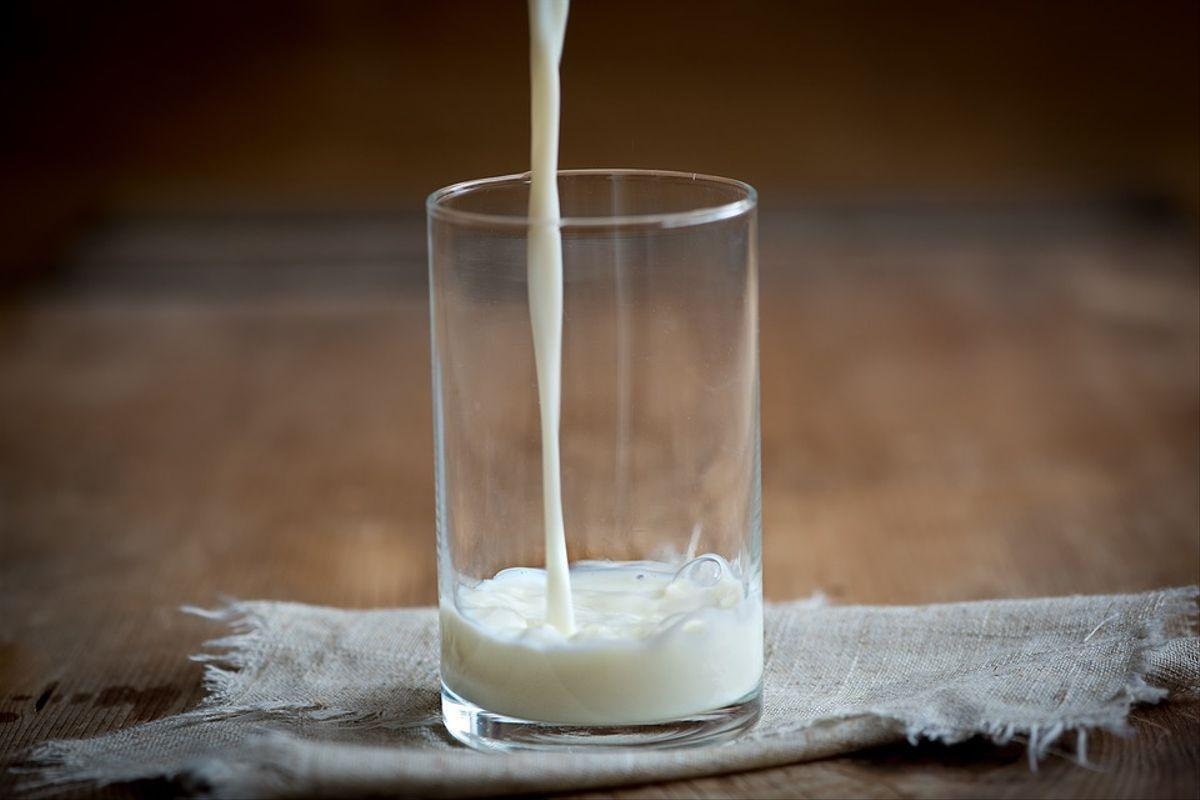 لا يستطيع الأشخاص المصابون بعدم تحمل اللاكتوز، هضم السكر (اللاكتوز) الموجود في الحليب بشكل كامل