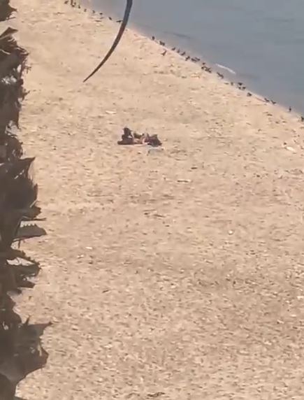 فيديو شاطئ الرملة البيضا