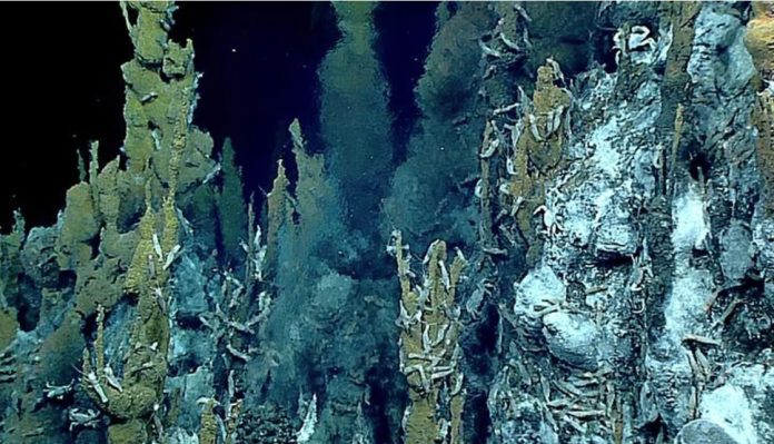 حفرة "تشالنجر ديب" موطن للحياة البحرية الفريدة والبراكين الطينية