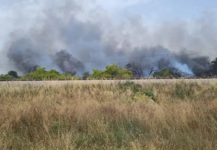 اندلع حريق كبير من النفايات في إحدى الغابات، واندلع حريق شجرة عند التقاطع الفضي خارج حدود المستوطنة