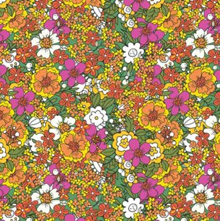 وهم بصري .. أين تختفي الفراشة