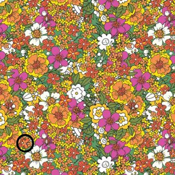 الفراشة مختبئة ومشار اليها بدائرة سوداء