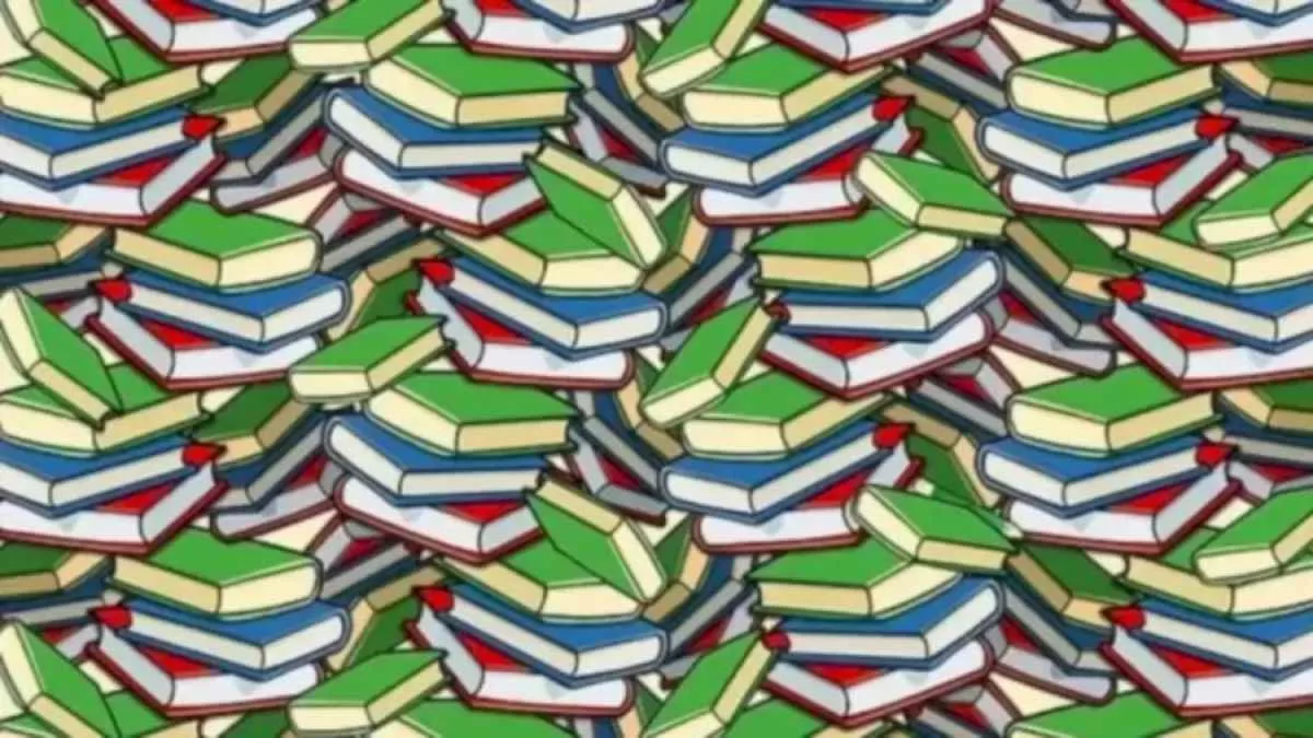 ألغاز الصور