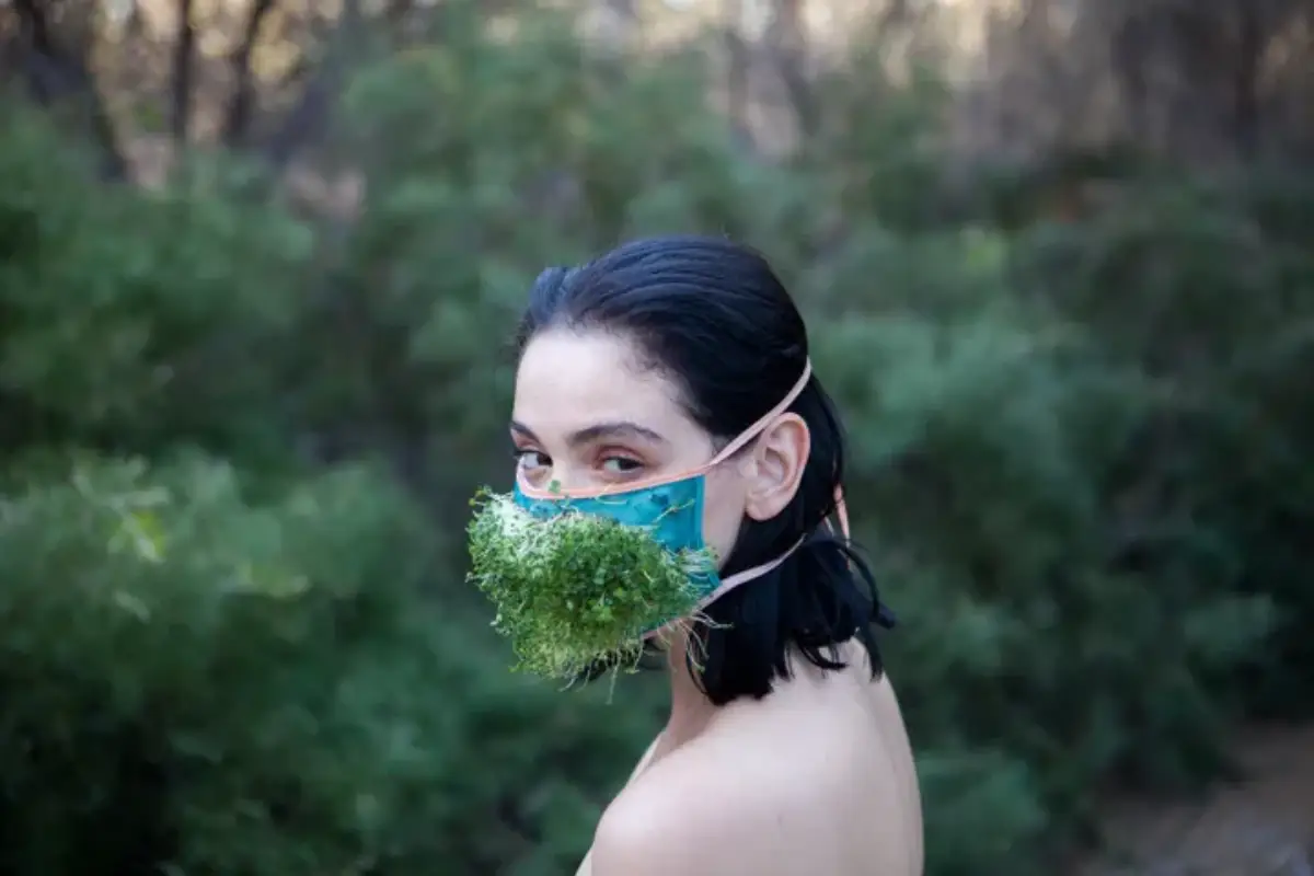 الجنس البيئي