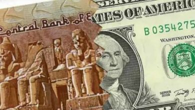 الجنيه المصري والدولار