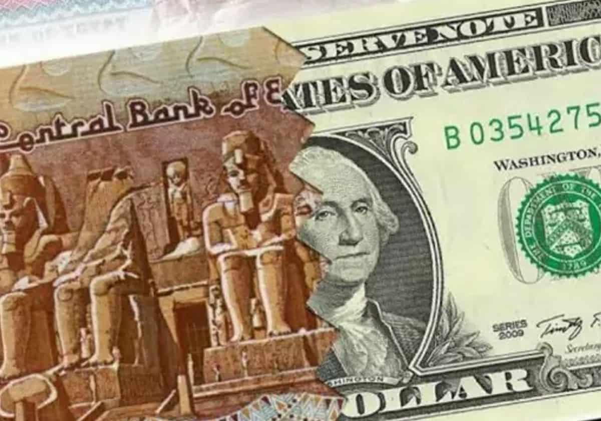 الجنيه المصري والدولار