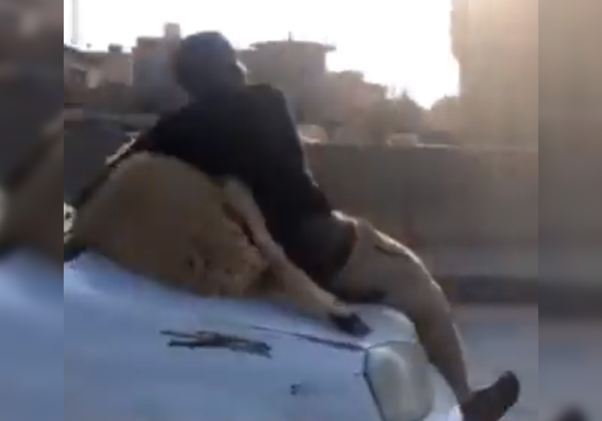 تهور وجنون.. فيديو يحبس الأنفاس لنقل خروف العيد في ليبيا