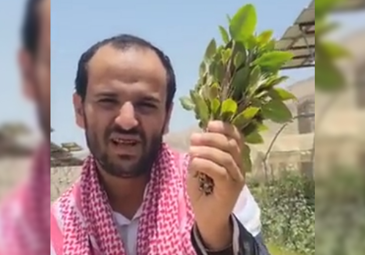 يمني "يحمل مخدرات" يستفز السعوديين بما قاله عن ولي العهد