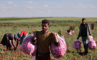 تعهد أردوغان بإعادة السوريين