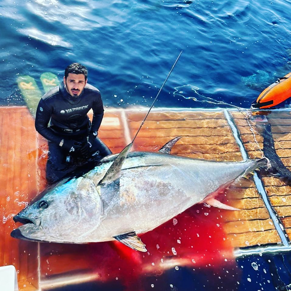 شقيق أمير قطر يصطاد سمكة تونة