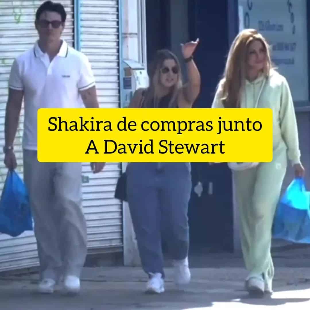 شاكيرا وديفيد ستيوارت