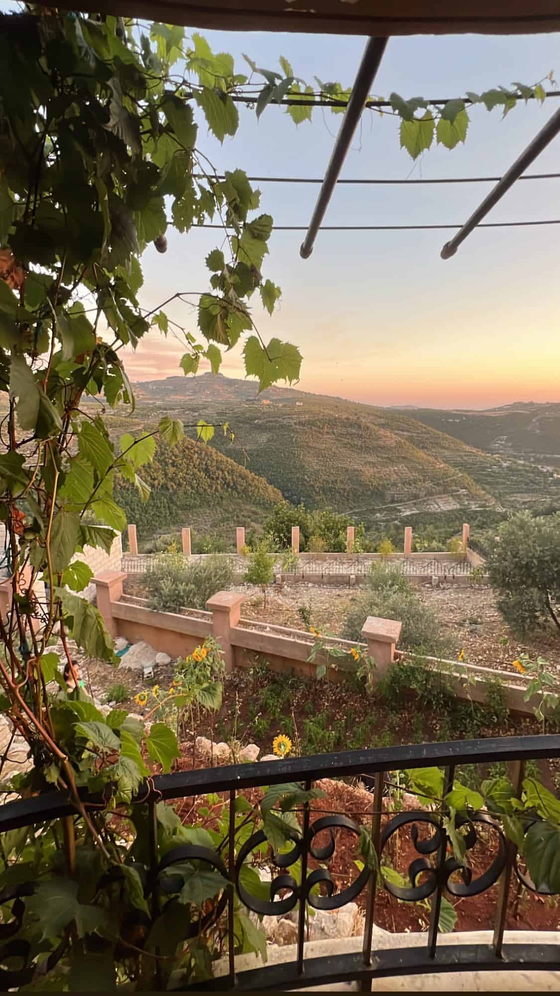 نسرين طافش في اللاذقية