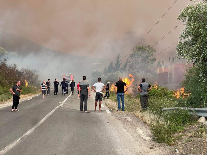 حرائق الغابات تودي بحياة جزائريين