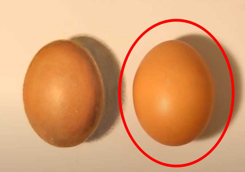 اعثر على البيضة الحقيقية