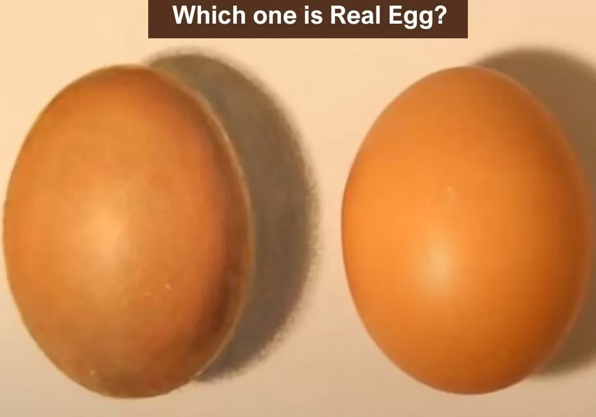 ألعاب العقل واختبار الذكاء.. اعثر على البيضة الحقيقية في 3 ثوانٍ فقط