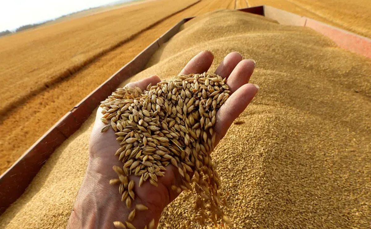 ماذا يعني خروج روسيا من "اتفاق الحبوب" وهل تضرب المجاعة إفريقيا؟