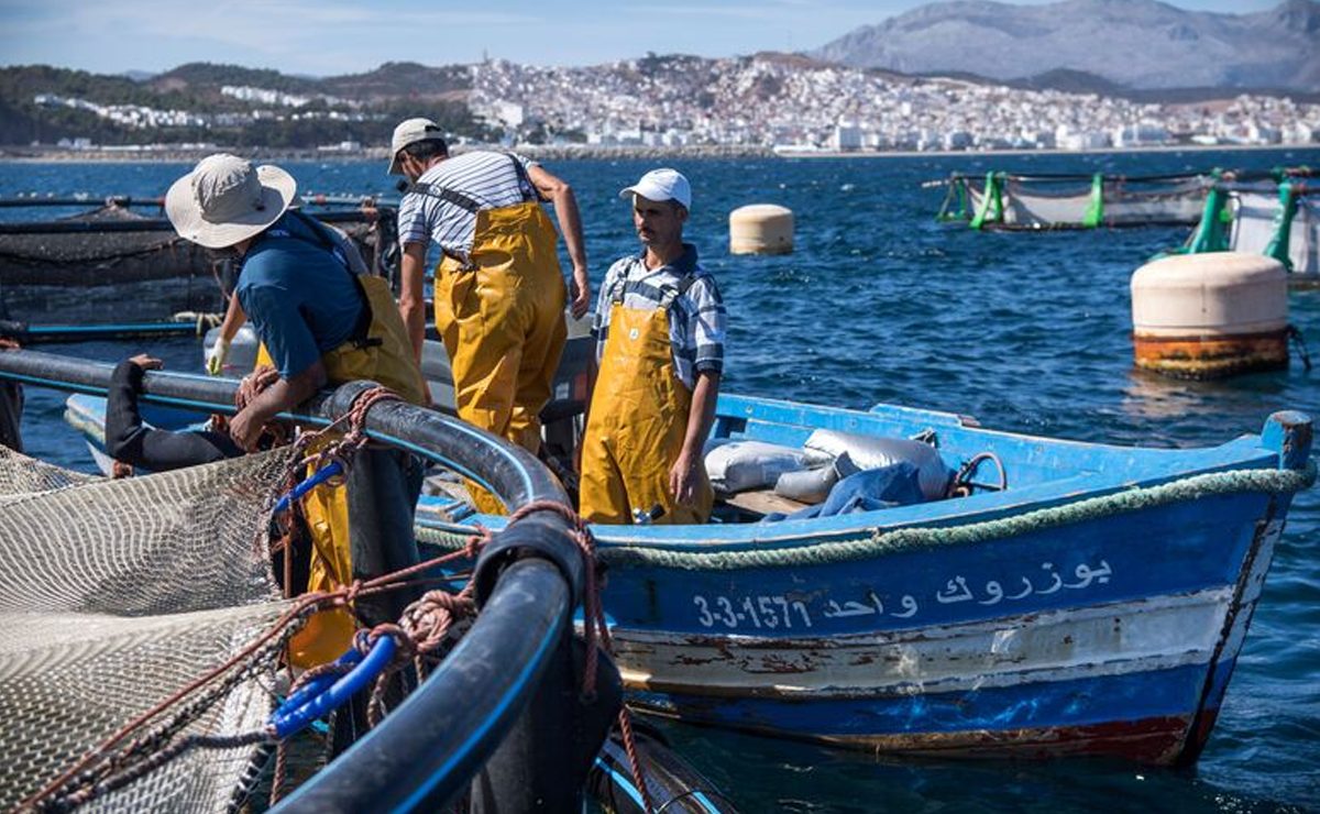 انتهاء شراكة الصيد يثير أزمة بين المغرب والاتحاد الأوروبي