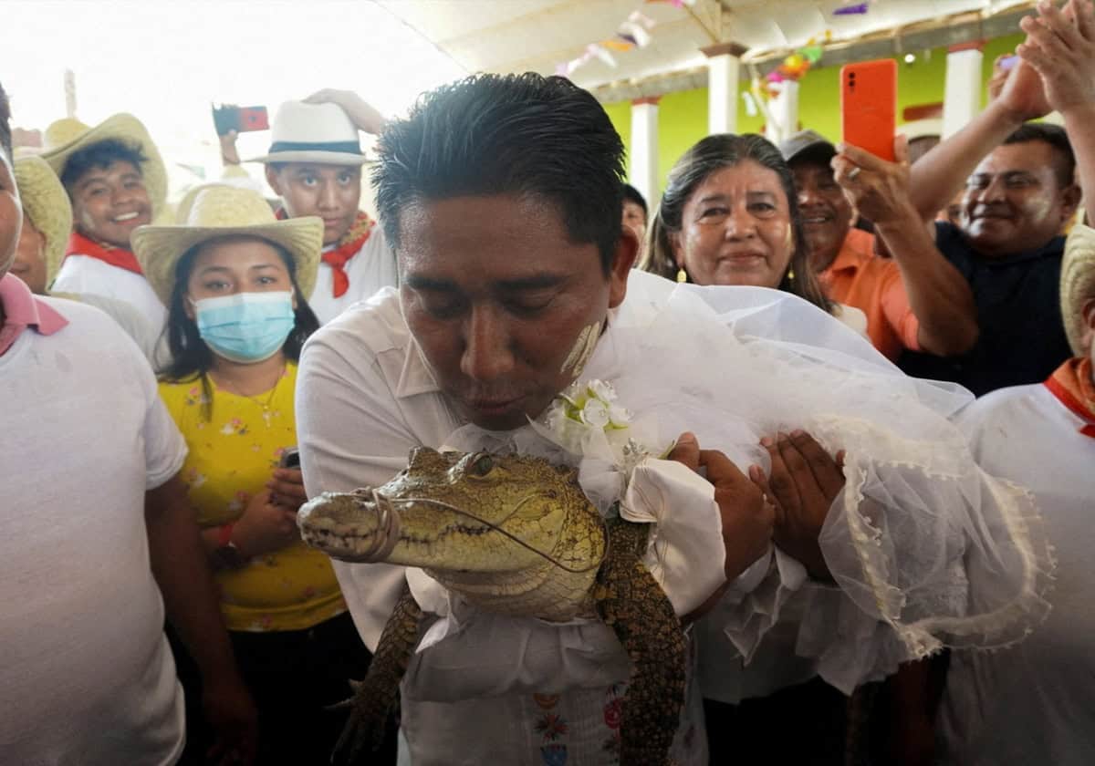 كيف يتزوج إنسان بأنثى تمساح؟.. فيديو مثير سيزيد حيرتك