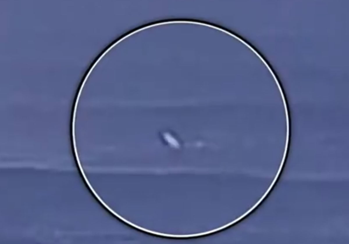 بين فكي القرش المفترس.. نجا بمعجزة وكُتب له عمر جديد