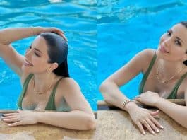 أخبار نسرين طافش اليوم، صور، فيديوهات، أفلام - وطن | يغرد خارج السرب