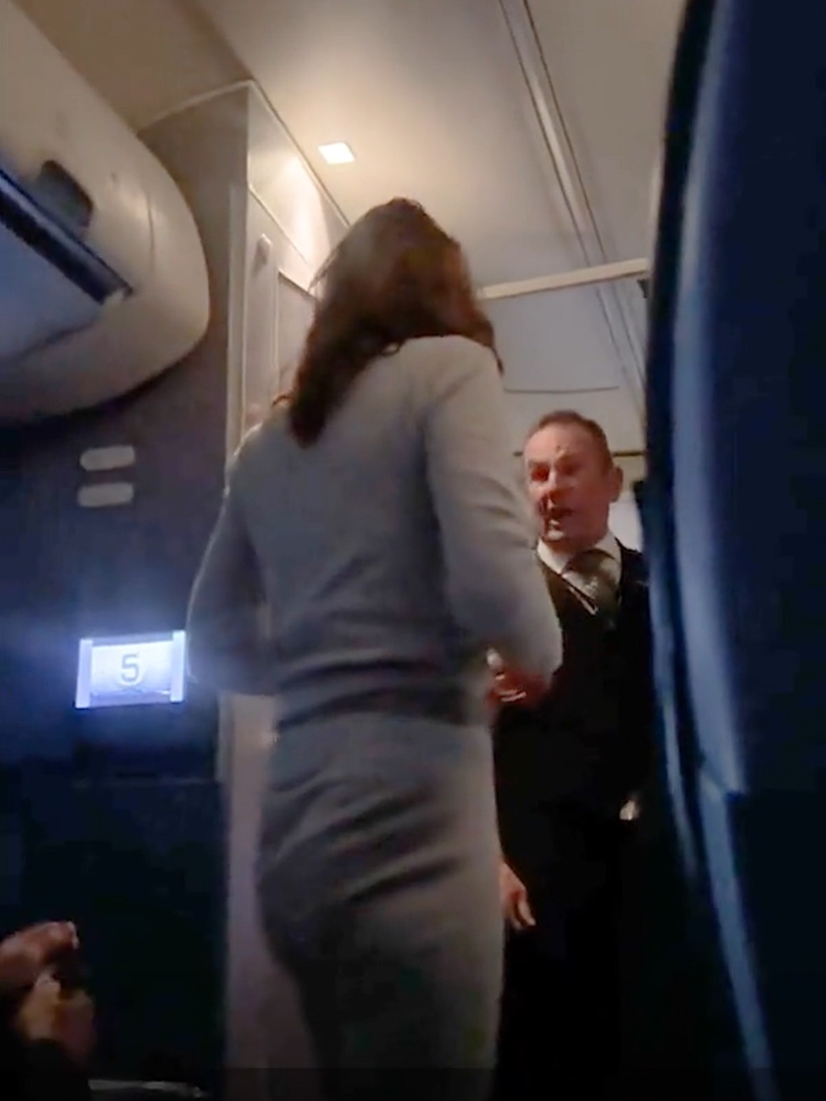 مضيف الطيران يحاول إجبار المرأة الغاضبة على الجلوس في مقعدها