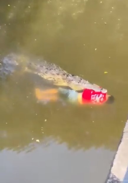 تمساح ضخم يلتهم لاعب كرة قدم كوستاريكي