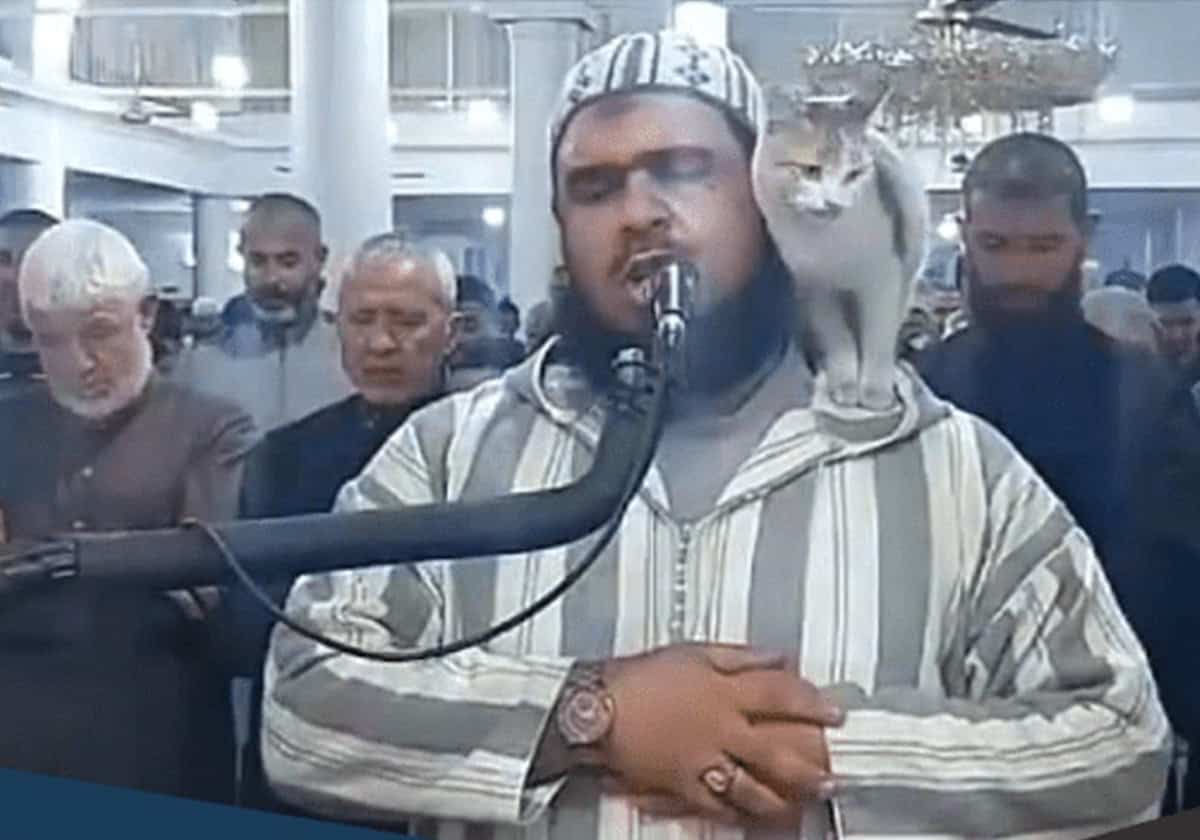 الشيخ الجزائري وليد المهساس