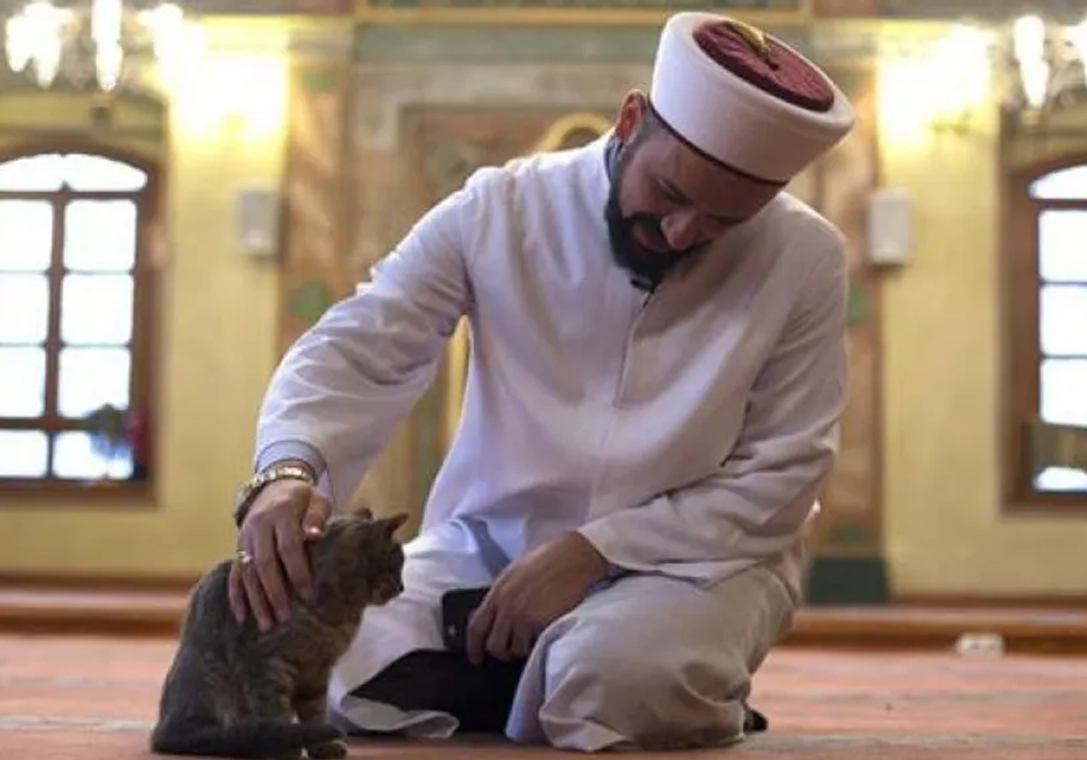 ذكّر بمشهد الشيخ وليد مهساس والقطة.. فيديو من أحد مساجد تركيا يغزو المواقع