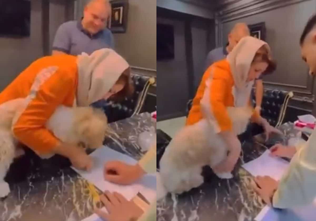 الفيديو الذي هزّ إيران.. مصير سمسار العقارات الذي باع شقة لكلب