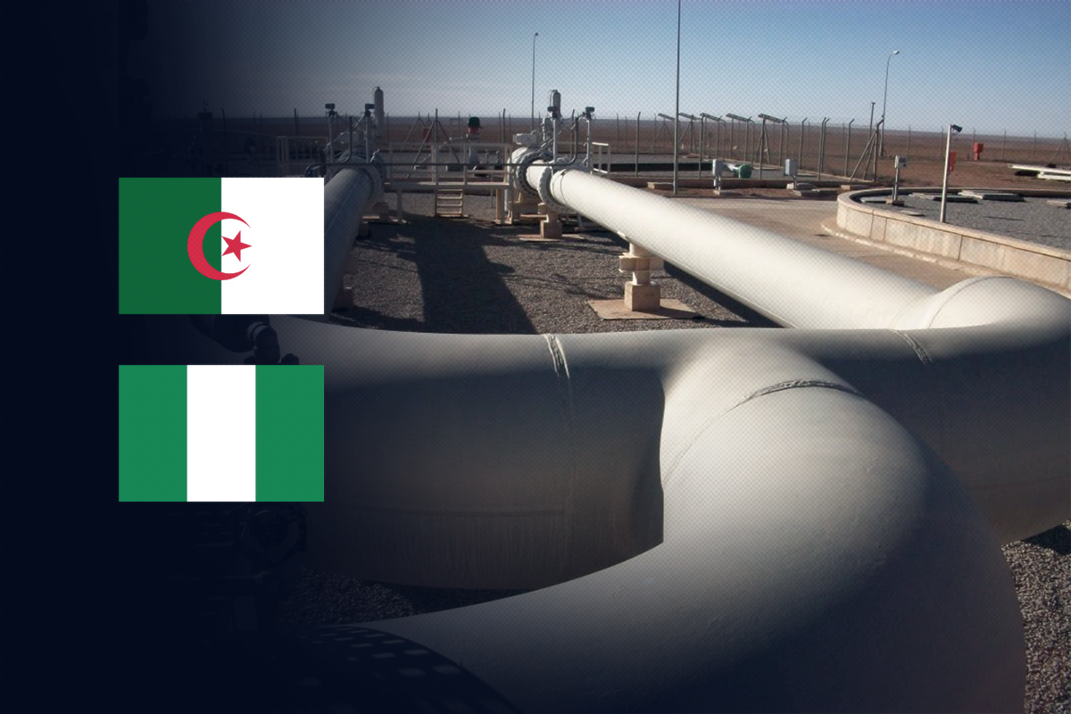 خط غاز الجزائر ونيجيريا والنيجر