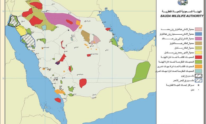 مخطط للاستيلاء على قرابة سدس أراضي السعودية