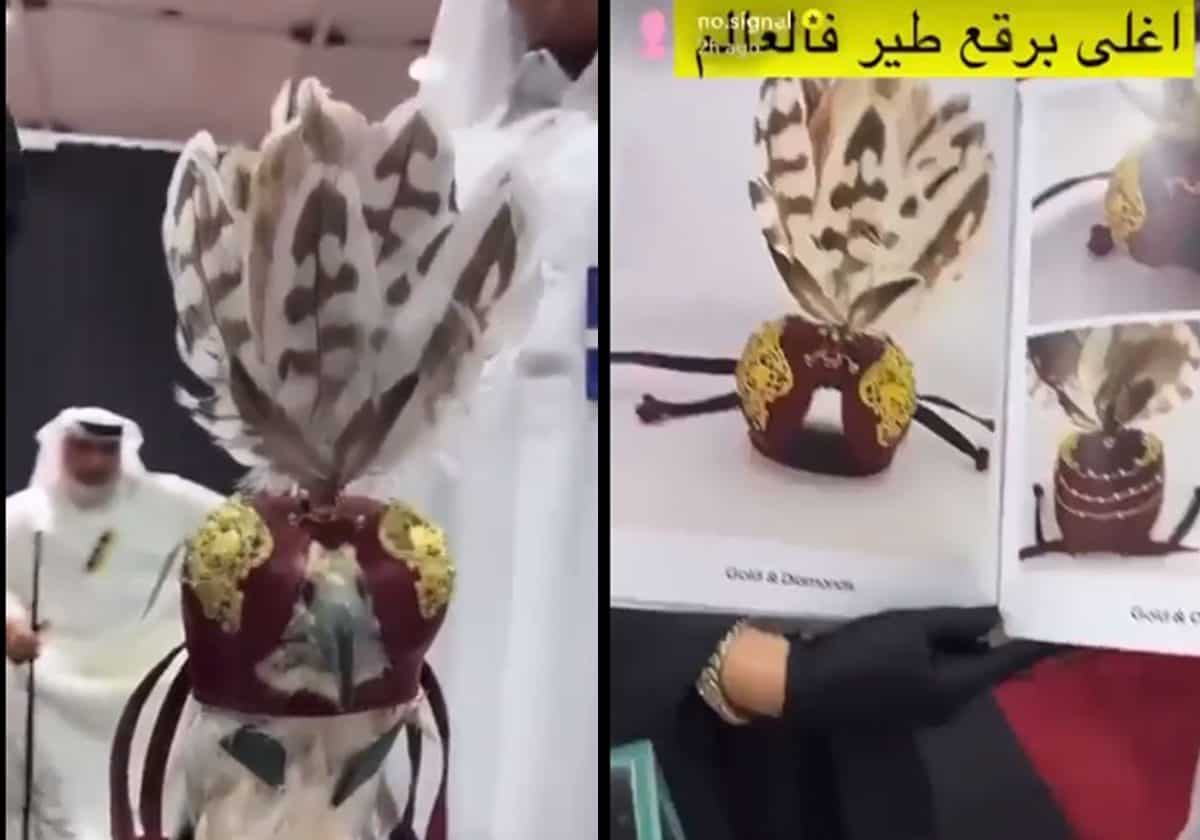 عبد العزيز إبراهيم الجابر وبرقع صقر من الذهب