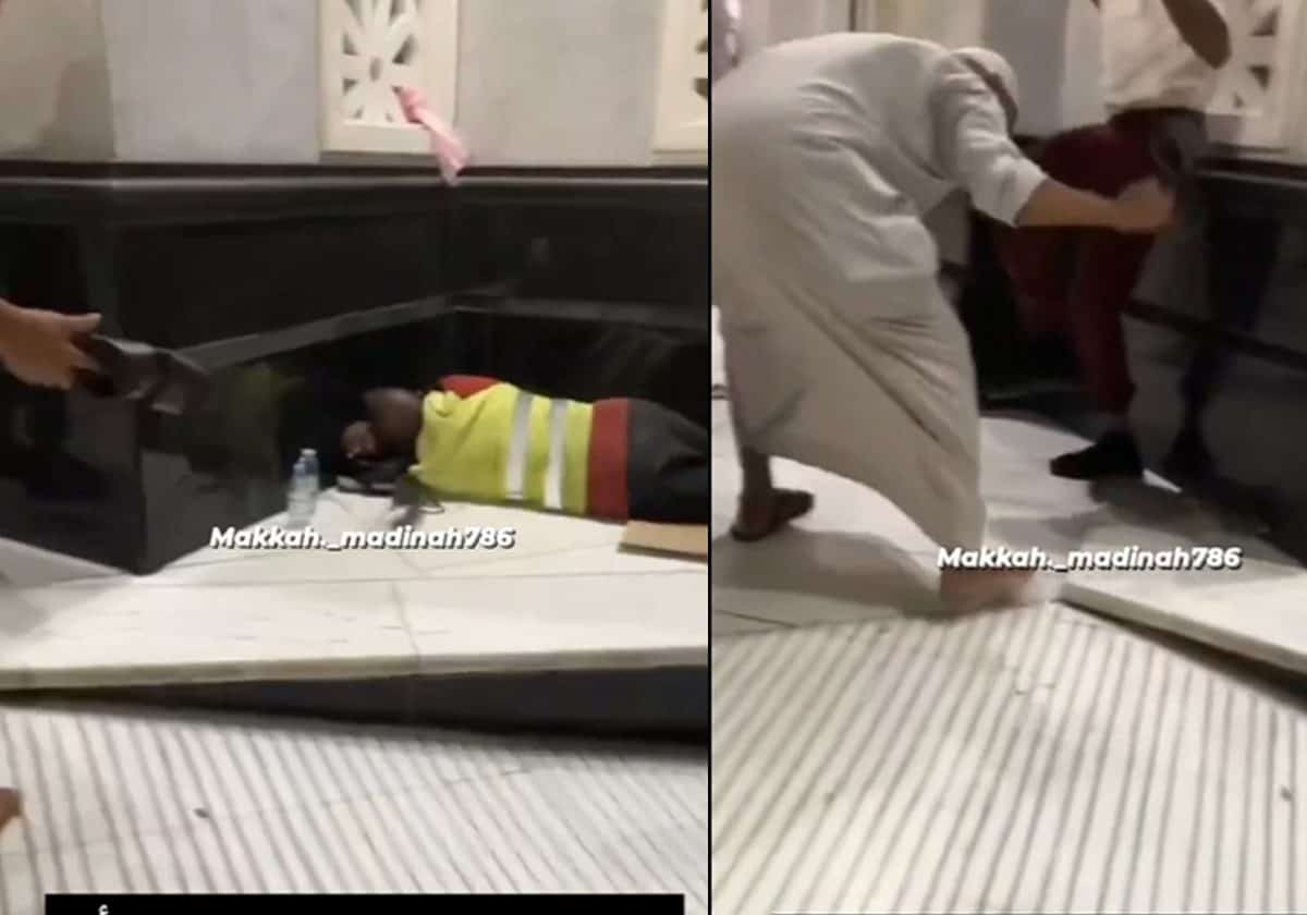 فأر في الحرم المكي