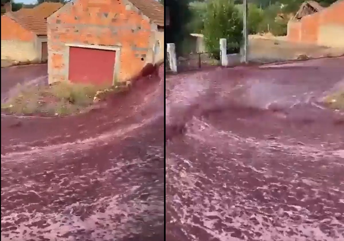 أنهار من الخمر.. فيديو مذهل لفيضان من النبيذ يغمر شوارع البرتغال