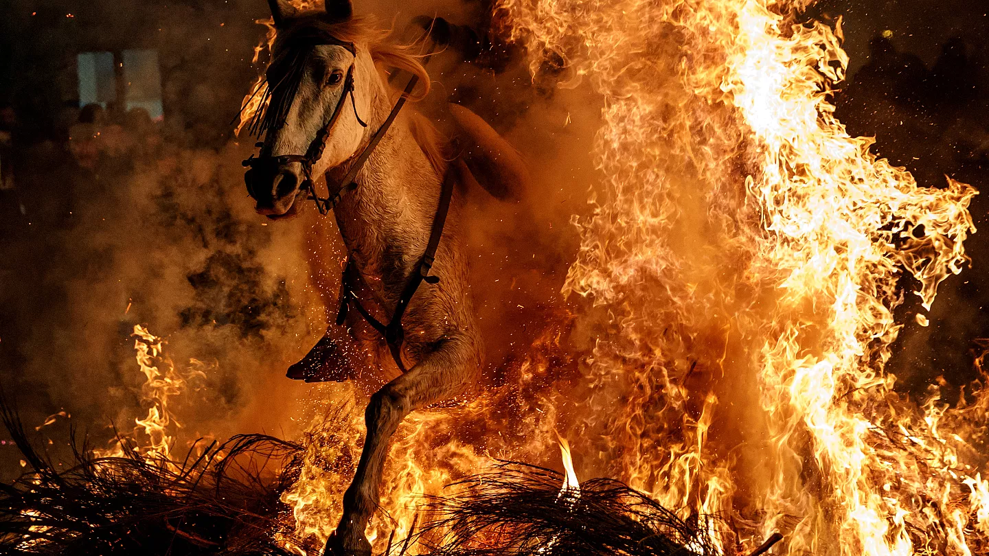 مهرجان التطهير للخيول في إسبانيا
