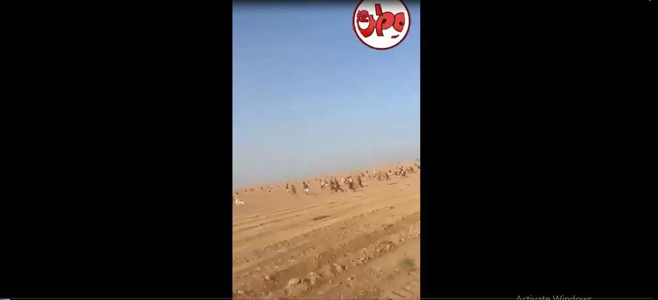 لقطة من مقطع فيدو يوثق هروب المستوطنين نحو الصحراء