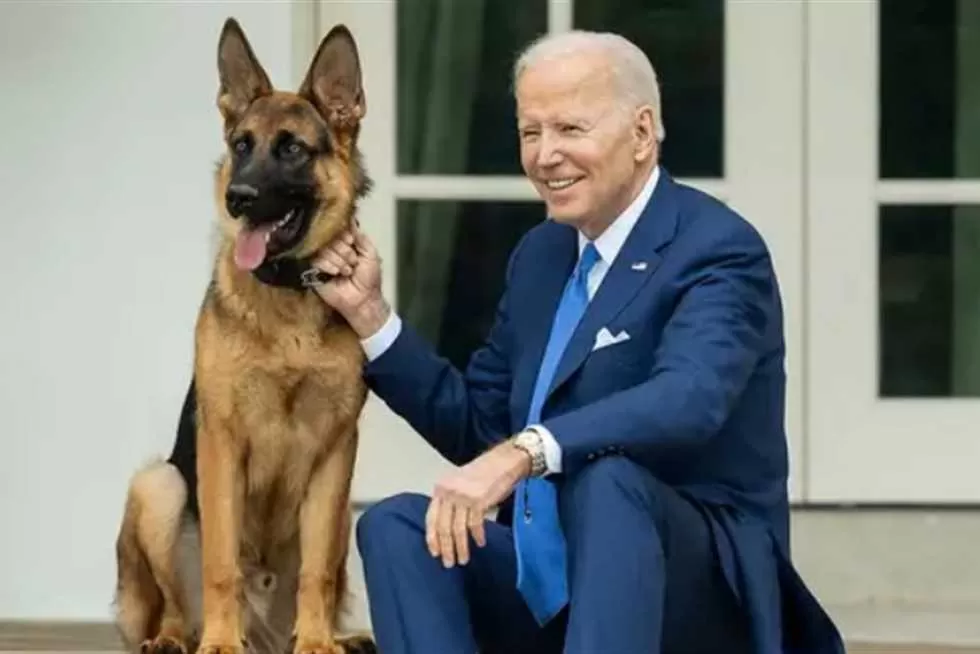 عدوانية كلاب بايدن في البيت الأبيض
