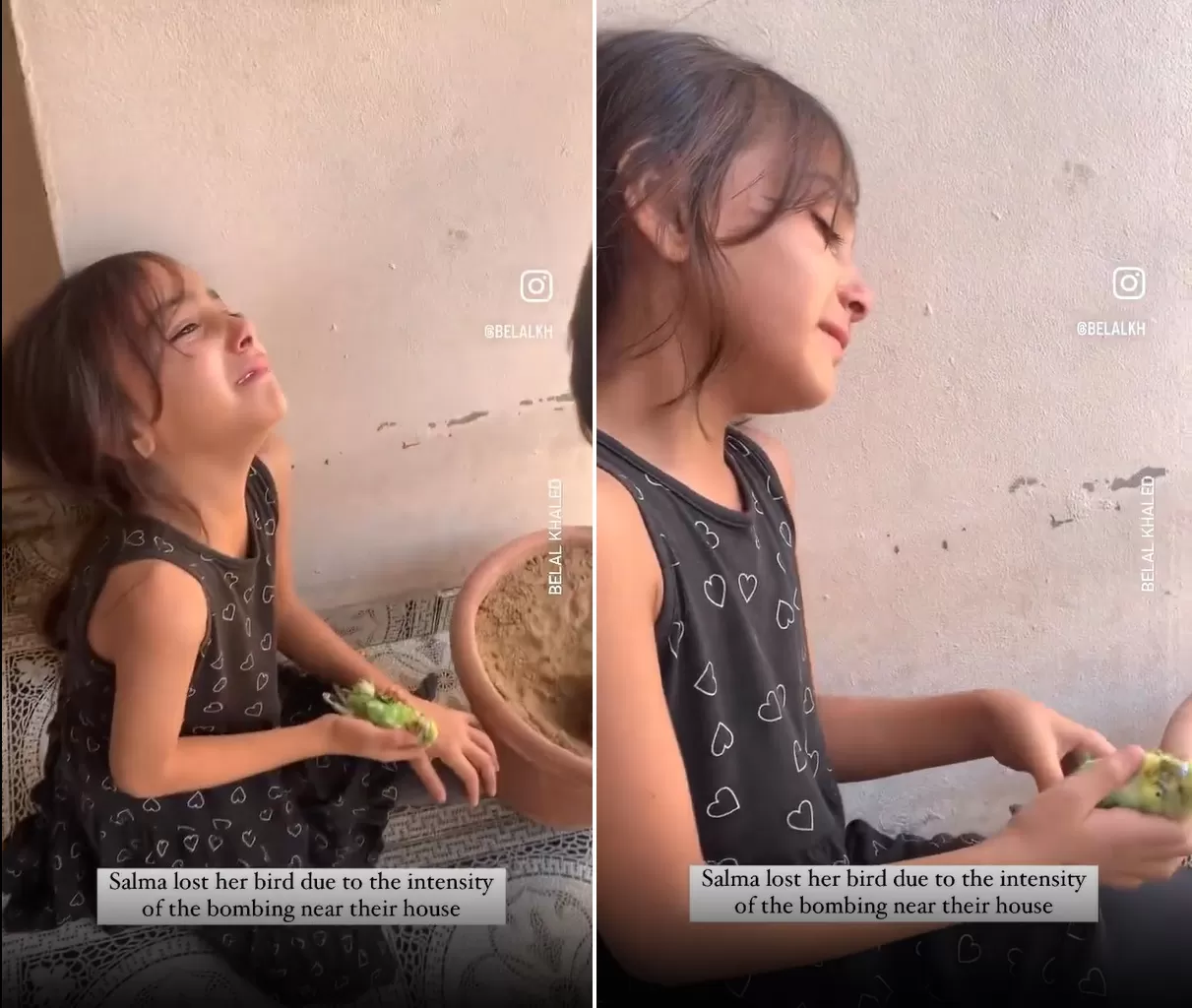 بكاء طفلة فلسطينية على عصفورها