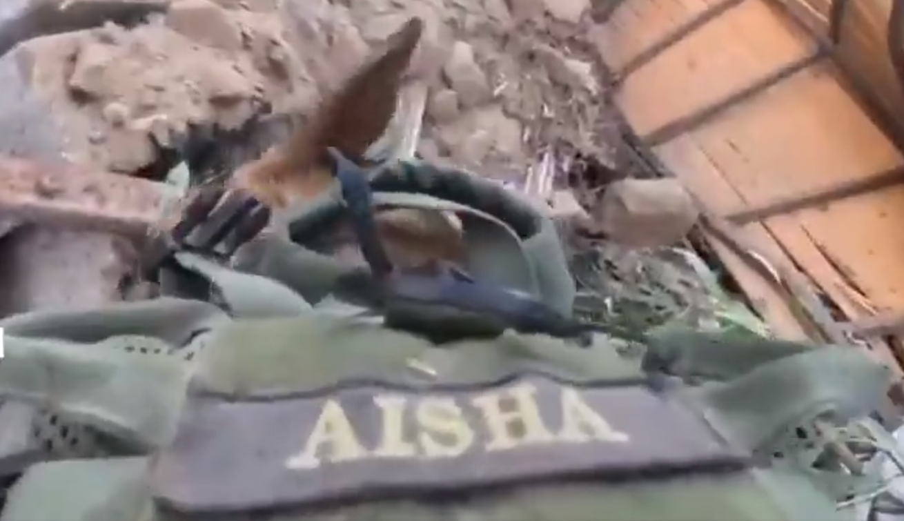 إحدى الكلاب المدربة المشاركة مع الجيش الإسرائيلي في الهجوم على غزة كُتب عليها اسم "عائشة"
