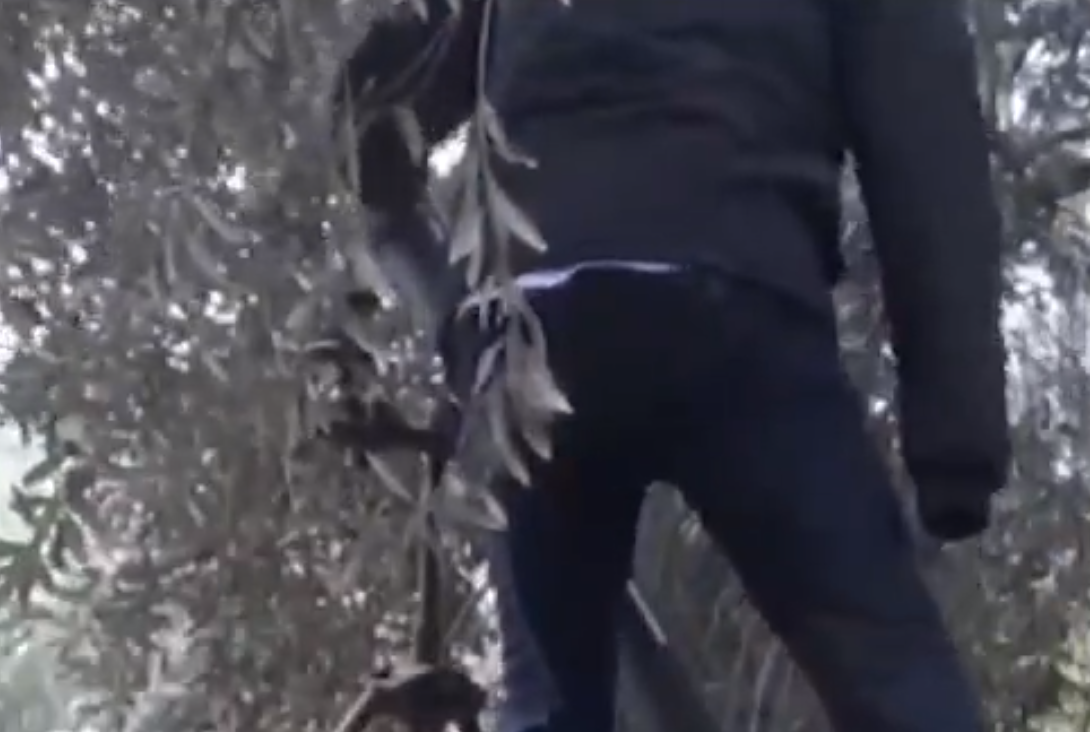 لقطة لمقاتل القسام مبتور اليد أثناء تلقيمه إحدى القذائف