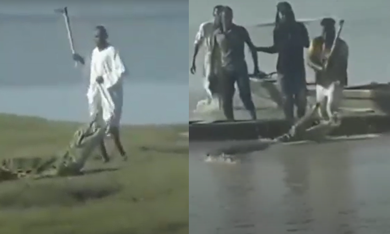 اشتباك جنوني لسودانيين مع تمساح خرج من النيل