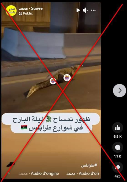 ظهور تمساح بشوارع ليبيا.. حقيقة فيديو أشعل الجدل وعلاقته بالسعودية